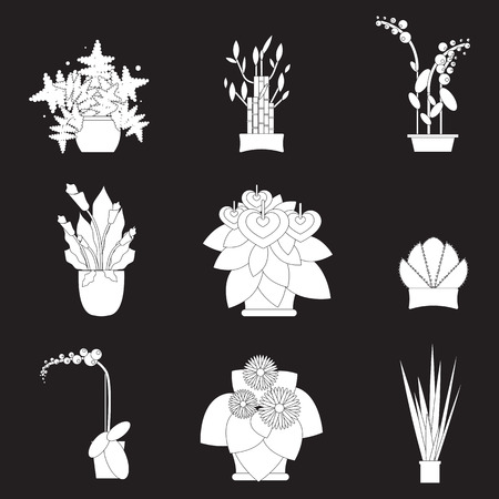 屋内の観葉植物と鍋でオフィスの植物のイラスト 家の庭や家の植物 鉢植えのセットです フラット植物 植物 のベクトルのアイコンを設定します 温室効果の家の工場 のイラスト素材 ベクタ Image