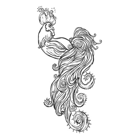 Chinese New Year 2017 Beautiful Illustration Ornament Feather Coloring Book For Adults Cock Vector