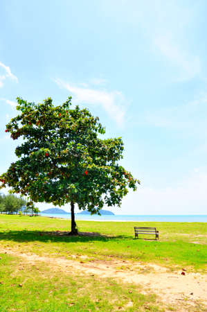Garden By The Bay Meadow gardenthe bay stock photos. royalty free gardenthe bay Garden By The Bay Meadow gardenthe bay stock photos. royalty free gardenthe bay
