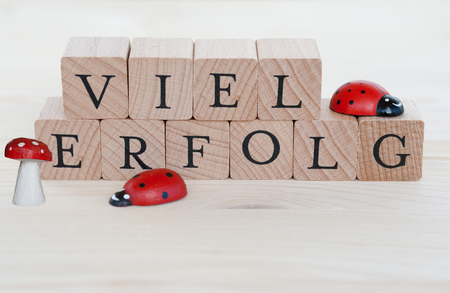 木の多くの成功 ベールを脱いだ Erfolg とてんとう虫と幸運な乞食のドイツ語の単語 の写真素材 画像素材 Image 木の多くの成功 ベールを脱いだ Erfolg とてんとう虫と幸運な乞食のドイツ語の単語 の写真素材 画像素材 Image