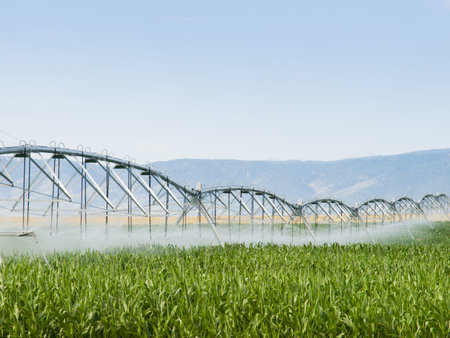 Circular irrigation system on the farm field. Stock Photo - 8900461