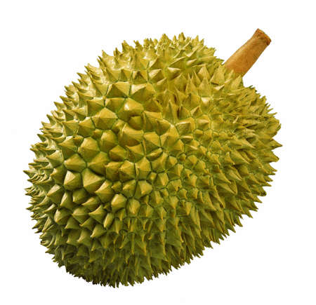Durian: Durian Kho ảnh