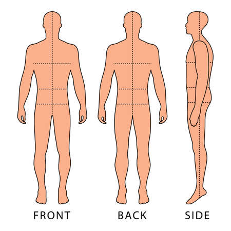ファッション ボディ全長ハゲ テンプレート図シルエット マーク体のサイズ線 前面 背面と側面図 ベクトル イラスト白背景に分離 のイラスト素材 ベクタ Image ファッション ボディ全長ハゲ テンプレート図シルエット マーク体のサイズ線 前面 背面と側面図 ベクトル イラスト白背景に分離 のイラスト素材 ベクタ Image