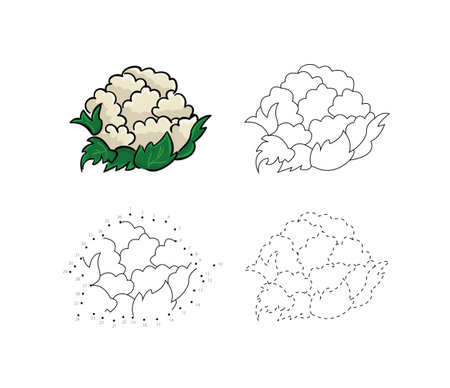 Set Of Fresh Healthy Cauliflower Kids Drawing Child Vegetables Educational Game Page Stock Vector