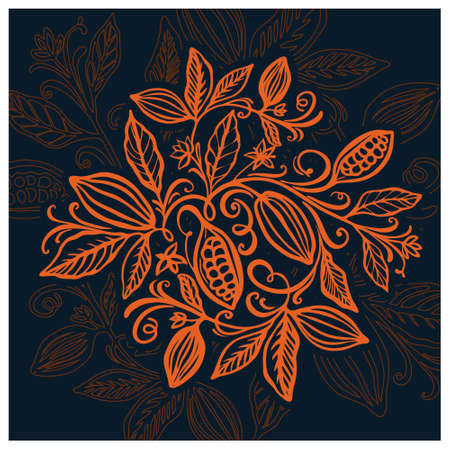 Cocoa beans illustration