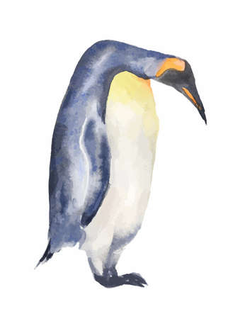 白い背景の上の隔離された水彩ペンギン 南極の動物 のイラスト素材 ベクタ Image 白い背景の上の隔離された水彩ペンギン 南極の動物 のイラスト素材 ベクタ Image