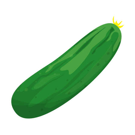 7 579 Cucumber Farm のイラスト素材 ベクター 123rf 7 579 Cucumber Farm のイラスト素材 ベクター 123rf
