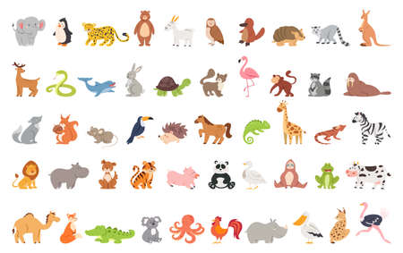Cute animal set with farm and wild character. cat and lion, elephant Stock Photo
