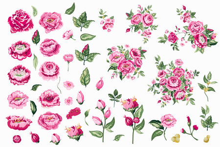 4 6 バラのつぼみ のイラスト素材 ベクター 123rf 4 6 バラのつぼみ のイラスト素材 ベクター 123rf