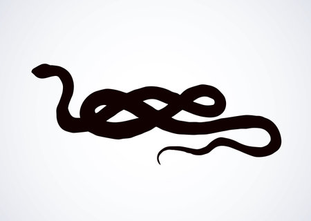 Big curve creepy viperidae crotalus asp serpentine on white backdrop. dark black ink hand drawn zoo pictogram emblem logo in art retro contour etching print style. closeup view space for text Stock Photo