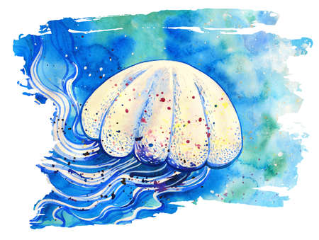 クラ ゲの水彩イラスト 白い背景に 水中生物に分離された塗られたメデューサ の写真素材 画像素材 Image