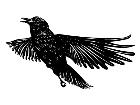 12 318 Krahe Vektorgrafiken Cliparts Und Illustrationen Kaufen 123rf