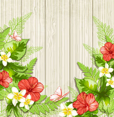 赤いトロピカル夏背景花し 葉します イラスト のイラスト素材 ベクタ Image 赤いトロピカル夏背景花し 葉します イラスト のイラスト素材 ベクタ Image