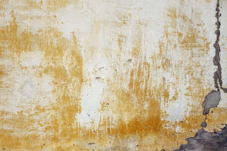 白漆喰 レンガの壁の質感です れんが造りのしっくい壁シームレスな表面 抽象的なホワイト洗って背景 白いブリックウォール壁紙 白いレトロな壁構造を構築しました の写真素材 画像素材 Image 白漆喰 レンガの壁の質感です れんが造りのしっくい壁シームレスな表面 抽象的なホワイト洗って背景 白いブリックウォール壁紙 白いレトロな壁構造を構築しました の写真素材 画像素材 Image