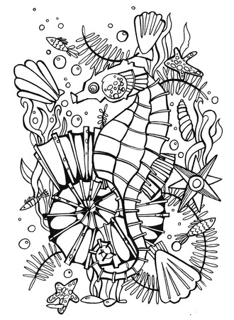 手描き着色ページ海馬 塗り絵の画像 大人のための非常に興味深いとリラックスした仕事 装飾的な貝殻の白い背景で隔離のベクター イラストです ロマンチックな黒と白の背景 手描きの図 の写真素材 画像素材 Image