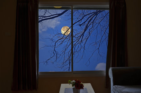 POEMAS SIDERALES ( Sol, Luna, Estrellas, Tierra, Naturaleza, Galaxias...) - Página 28 76133807-hermosa-luna-llena-y-ramas-en-la-ventana-de-la-ventana
