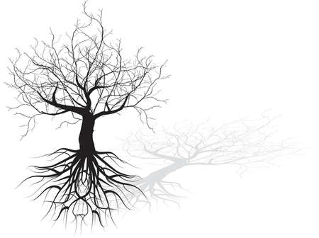 Dead tree with roots vector background black concept
