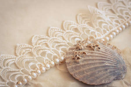 Lace Pearls And Seashell Vintage Background Stock Photo Picture Royalty Free Image 13036426 Lace Pearls And Seashell Vintage Background Stock Photo Picture Royalty Free Image 13036426