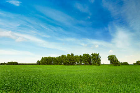 Campos Verdes Imágenes y Fotos - 123RF