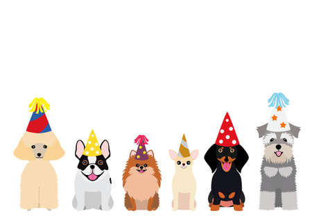 Smiling small dogs with party hat