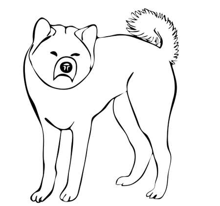 秋田犬シルエット スケッチ のイラスト素材 ベクタ Image 秋田犬シルエット スケッチ のイラスト素材 ベクタ Image
