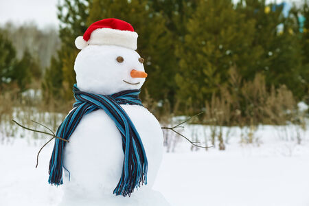 Bonhomme De Neige Drole Dans Une Foret Bonhomme De Neige Dans Le Chapeau De Santa Exterieur Banque D Images Et Photos Libres De Droits Image