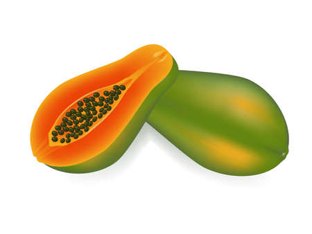 papaya: minh hoạ vector đu đủ trên nền trắng