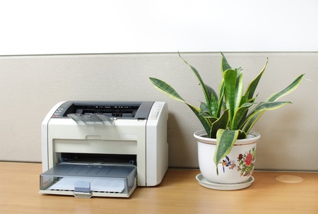 A Printer On Desk With An Aloe Bonsai In Office Stock Photo Picture And Royalty Free Image Image 9378505