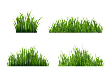 454 323 草 のイラスト素材 ベクター 123rf 454 323 草 のイラスト素材 ベクター 123rf