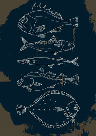 白い背景の海の魚をセットします スズキ タラ サバ カレイ サンマ ベクトル落書き 分離し 簡単に編集できるグループ化の図 のイラスト素材 ベクタ Image 白い背景の海の魚をセットします スズキ タラ サバ カレイ サンマ ベクトル落書き 分離し 簡単に編集できるグループ化の図 のイラスト素材 ベクタ Image