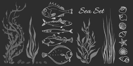 白い背景の海の魚をセットします スズキ タラ サバ カレイ サンマ ベクトル落書き 分離し 簡単に編集できるグループ化の図 のイラスト素材 ベクタ Image 白い背景の海の魚をセットします スズキ タラ サバ カレイ サンマ ベクトル落書き 分離し 簡単に編集できるグループ化の図 のイラスト素材 ベクタ Image