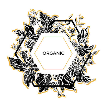 おしゃれなテンプレートです 葉 花 自然のコーヒー豆とコーヒーの枝します デザイン 黒と白 ゴールド のイラスト素材 ベクタ Image おしゃれなテンプレートです 葉 花 自然のコーヒー豆とコーヒーの枝します デザイン 黒と白 ゴールド のイラスト素材 ベクタ Image