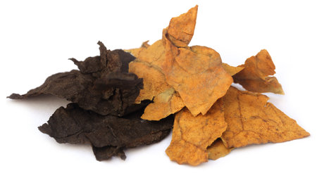 Dried tobacco leaves over white background Stockfoto