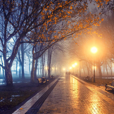 дождь: люди в осенней городской парк ночью