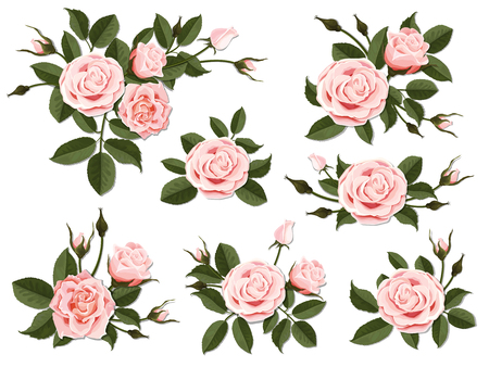 121 131 Pink Rose Stock Vector Illustration And Royalty Free Pink Rose Clipart 121 131 Pink Rose Stock Vector Illustration And Royalty Free Pink Rose Clipart