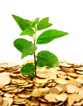 profitability of environmentally friendly companies Free essay: profitability of environmentally friendly companies by: jayvee maza bsba- financial management tf (1:00pm-2:30pm) corporations that have an. profitability of environmentally friendly companies Free essay: profitability of environmentally friendly companies by: jayvee maza bsba- financial management tf (1:00pm-2:30pm) corporations that have an.