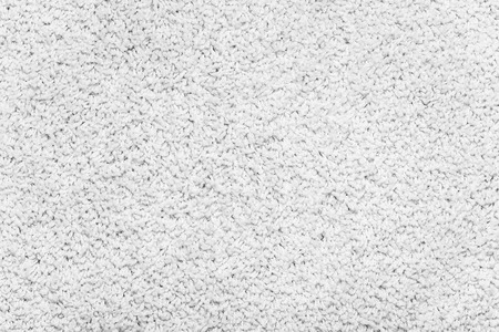 White Carpet White Carpet