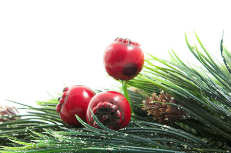 red nuts forany christmas layouts stock photo picture and royalty christmas layouts