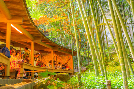 日没で鎌倉の竹林を撮影三脚にプロのカメラのクローズ アップ かかる寺フォレストや竹の寺報国寺日本の寺院で大人気の観光地であります の写真素材 画像素材 Image 日没で鎌倉の竹林を撮影三脚にプロのカメラのクローズ アップ かかる寺フォレストや竹の寺報国寺日本の寺院で大人気の観光地であります の写真素材 画像素材 Image