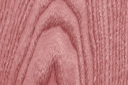 メープル木材漂白とステンド グラスの光の淡い赤色のグランジ テクスチャ の写真素材 画像素材 Image