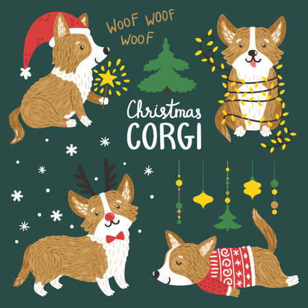vector vector set of cute corgi dogs with christmas elements funny animals with santa hat deer horns garland of lights norwegian sweater - Christmas Corgi vector vector set of cute corgi dogs with christmas elements funny animals with santa hat deer horns garland of lights norwegian sweater - Christmas Corgi