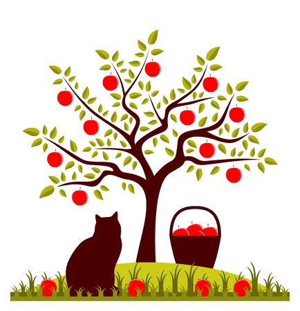 cats on appletrees apple tree basket of apples and cat vector fussmatte cats on appletrees apple tree basket of apples and cat vector fussmatte