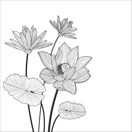 イラスト美しいピンクの蓮の花 白い背景で隔離のベクトルします スタイリッシュな花春の壁紙 挨拶や招待カードのイラスト素材 ベクタ Image イラスト美しいピンクの蓮の花 白い背景で隔離のベクトルします スタイリッシュな花春の壁紙 挨拶や招待カードのイラスト素材 ベクタ Image