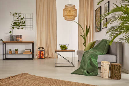 Kamerplanten royalty vrije fotos, plaatjes, beelden en stock ... Woonkamer beige gordijnen