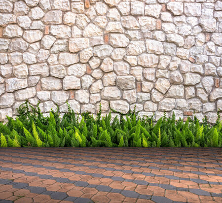 石の壁や部屋のインテリアのモダンなスタイルの木製の床に狐尻尾 の写真素材 画像素材 Image 石の壁や部屋のインテリアのモダンなスタイルの木製の床に狐尻尾 の写真素材 画像素材 Image