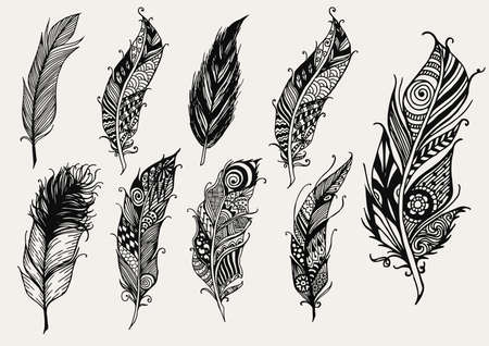 191 783 feathers stock vector illustration and royalty free feathers