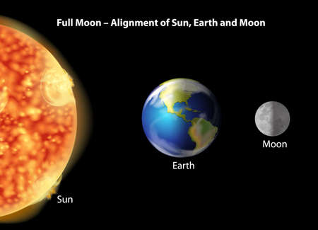 地球、月と太陽の位置合わせを示す図のイラスト素材・ベクター