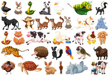 Large set of animals illustration