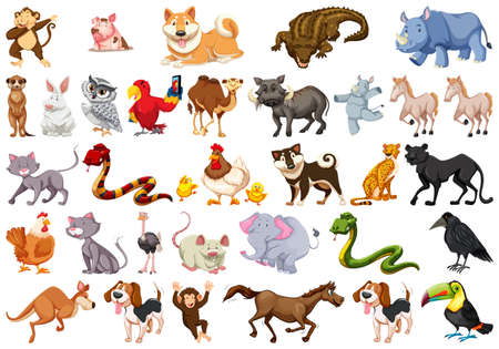 Diverse set of isolated animals on white illustration Vector Illustration