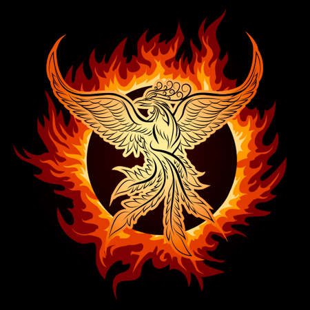 pheonix bird pictures